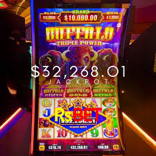 Rsbet: A Experiência de Casino com Jogos de Mesa ao Vivo